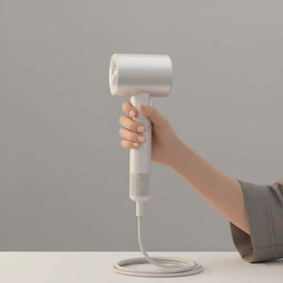 Professional Ionic Hair Dryer