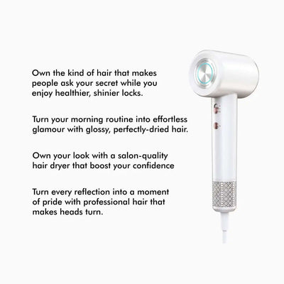 Professional Ionic Hair Dryer