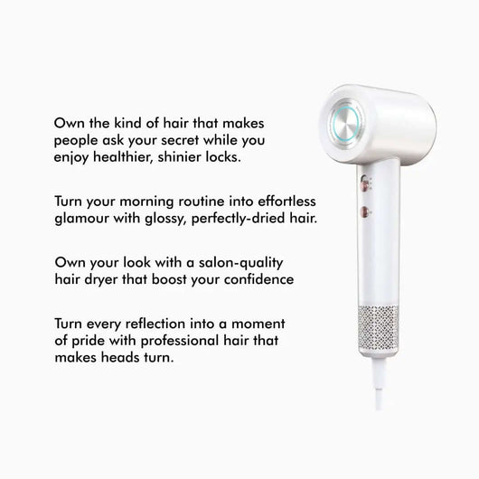 Professional Ionic Hair Dryer